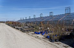 2017-03-26_01_Hoffuehrung_Kartoffelkombinat_ 2681_TU